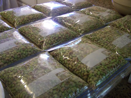 36 bags of purple hull peas..